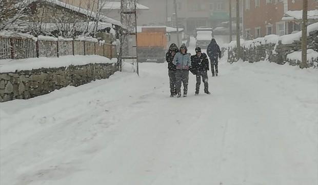 Hamur'da kar yağışı
