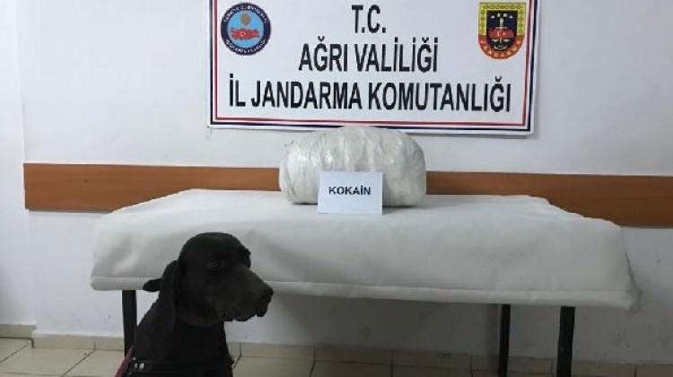 Ağrı'da 18.5 kilo kokain ele geçirildi