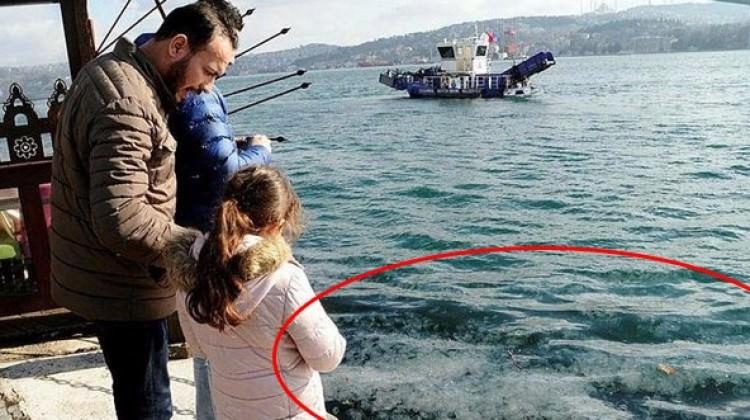 İstanbul Boğazı'nda ilginç görüntü! Denizanası...