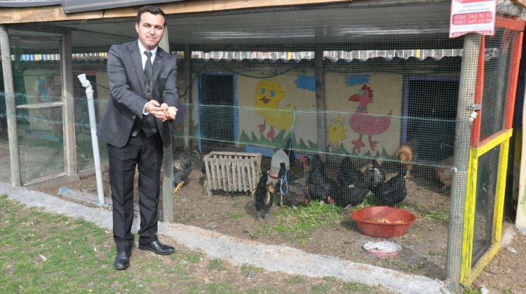 "İlkokulun tavukları" ihtiyaç sahibi öğrenciler için yumurtluyor
