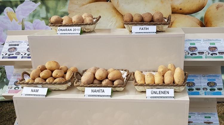 Tescilli 4 yerli patates ihaleyle satışta