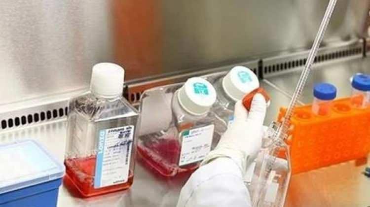 H7N4 ilk kez bir insanda görüldü!