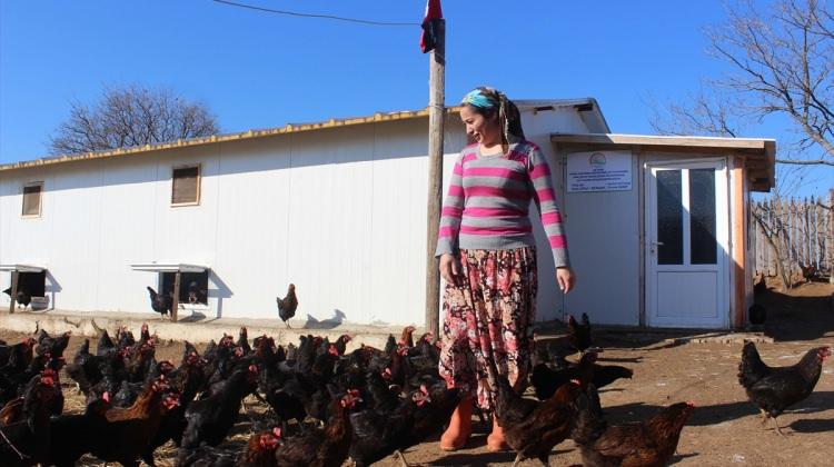 Ev hanımıyken tavuk çiftliği sahibi oldu