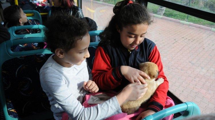 Kırıkkale'de öğrenci ve ailelerin hayvan sevgisi