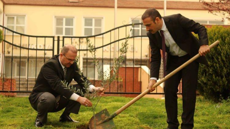 Zeytin Dalı Harekatı'na destek için fidan dikildi