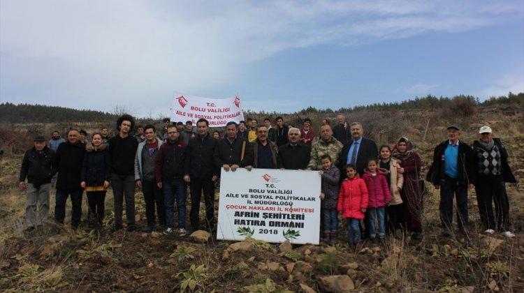 Bolu'da, Afrin Şehitleri için hatıra ormanı oluşturuldu