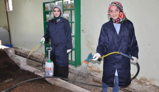 Bileziklerini satarak servet sahibi oldular