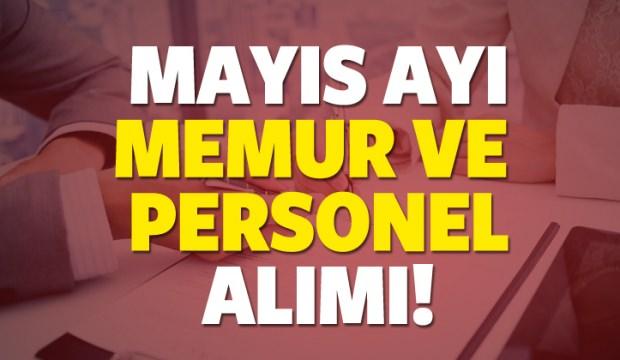 Mayıs ayının sonuna kadar 92 bin memur ve personel alımı! KPSS'li ve KPSS'siz...
