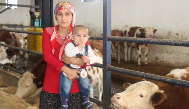 Çiftlik kuran 6 çocuk annesinin başarı hikayesi