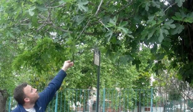 G&ouml;renleri şaşırtıyor! İlk defa b&ouml;yle bir şey...