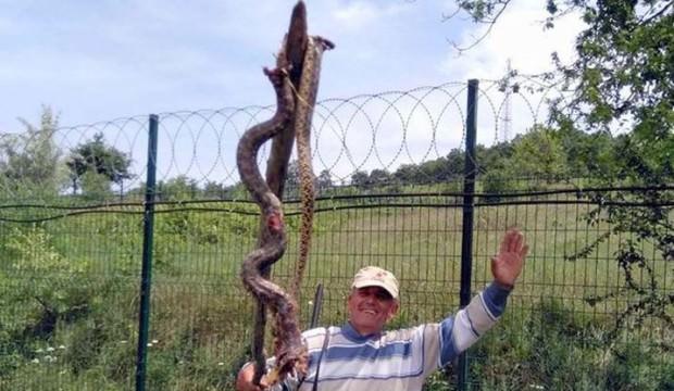 5 metrelik yılanı böyle öldürdü! Şok iddia...