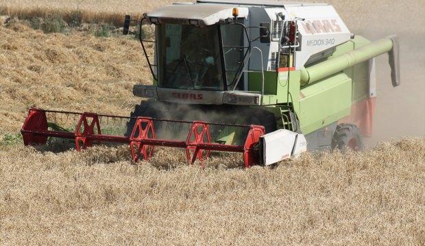 Manyas'ta buğday hasadı sürdürülüyor