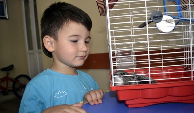 3 yaşındaki çocuğun bulduğu yaralı kuş tedaviye alındı