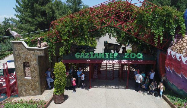 Gaziantep'te "Tropik Kelebek Merkezi" kuruluyor