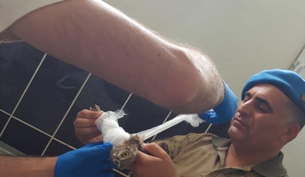 Van'da yaralı baykuşu jandarma ekipleri tedavi ettirdi