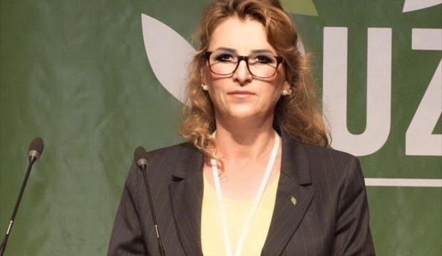 TEMA Vakfı'ndan "orman yangınları" uyarısı