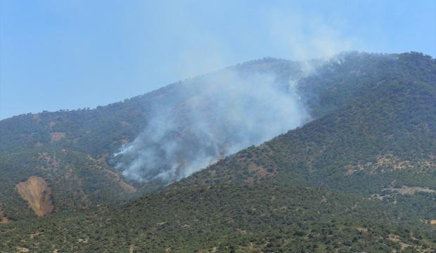 Tunceli'deki orman yangını