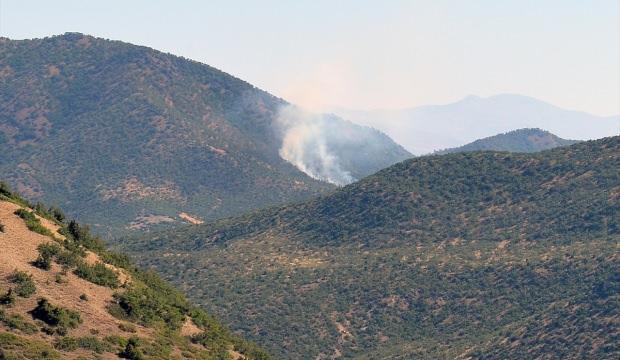 Tunceli'de orman yangını