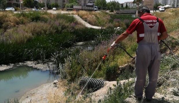 Kırşehir Belediyesinin haşerelere karşı mücadele çalışmaları