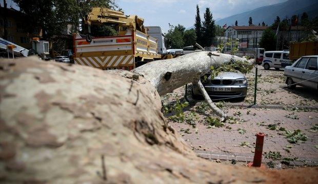 Bursa'da tarihi çınar lüks otomobilin üzerine devrildi