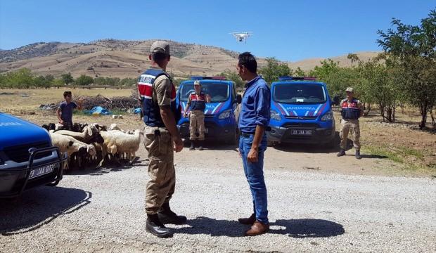 Elazığ'da kayıp koyunlar uçangözle bulundu