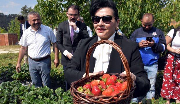 "Vali Hanım" çileği üreticinin yüzünü güldürdü