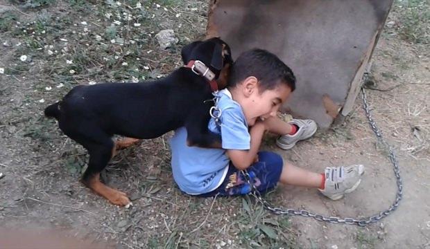 Kahramanmaraş'ta küçük çocukla köpeğin oyunu