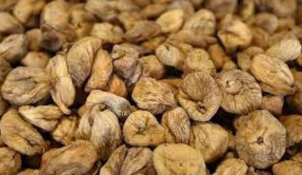 Kuru incirde ihracat 26 Eylül'de başlıyor