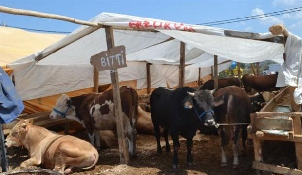 Vatandaş yoğun ilgi gösterdi, kurbanlıklar bitti