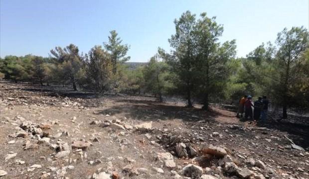 Şanlıurfa'daki orman yangını