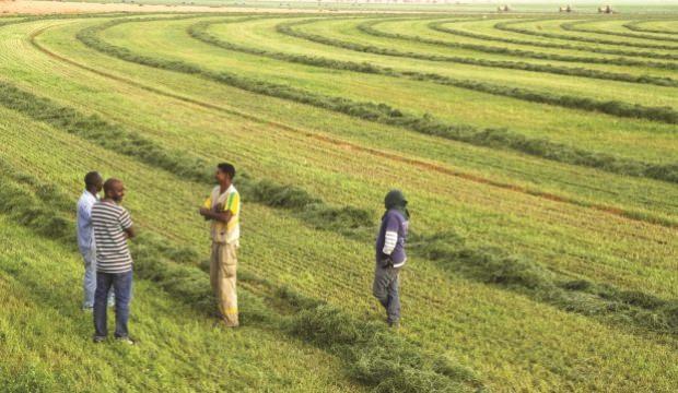 Türkiye'ye tahsis edilmişti, çalışmalara başlandı