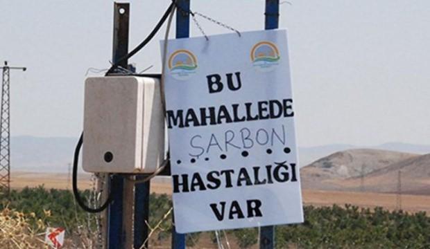 Et ve Süt Kurumu noktayı koydu: Mümkün değil...