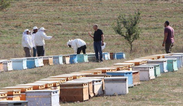 Havza'da genç çiftçilere arı desteği