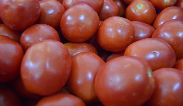 Türkiye'den Avrupa ve ABD'ye "yarı kurutulmuş domates"