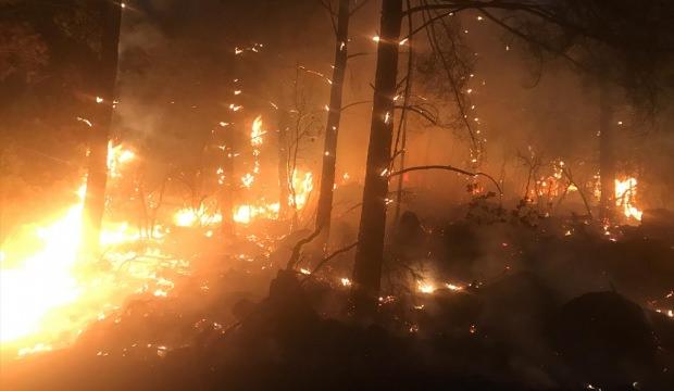 Muğla'da orman ve makilik yangını
