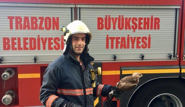 Trabzon'da itfaiye ekipleri, mahsur kalan hayvanları kurtardı