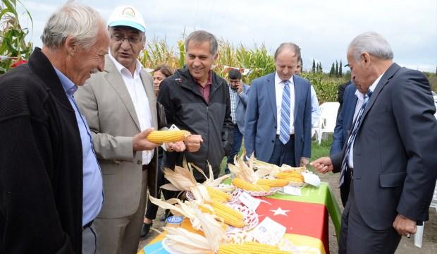 Yerli mısırlar Tarla Günü'nde görücüye çıktı