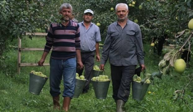 Tanesi 1 kilogram! Fiyatı 10 yıldır aynı