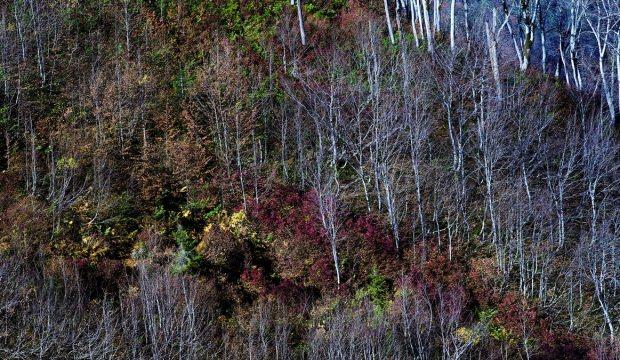 Karçal Dağları'nda sonbahar güzelliği
