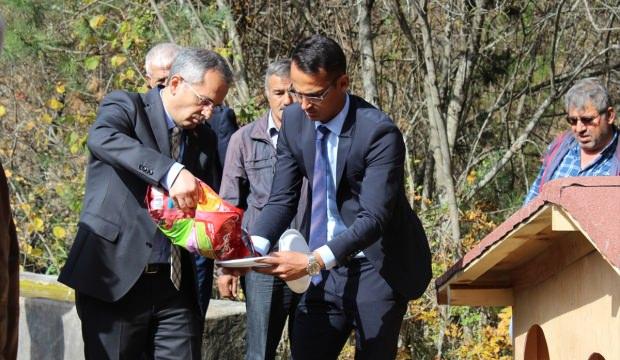 Tosya'da sokak köpekleri için kulübe