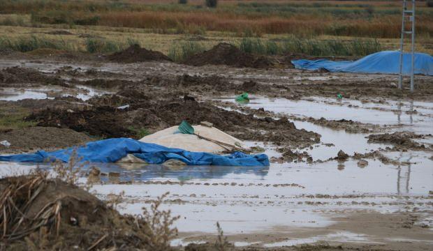 Çankırı'da sağanak 4 bin ton pirince zarar verdi