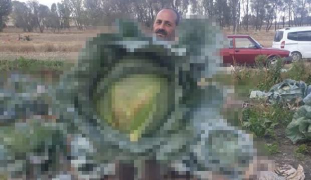 Görenler gözlerine inanamadı!
