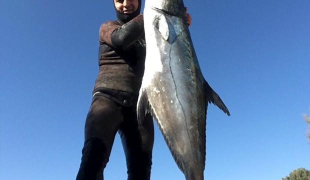 Zıpkınla 40 kiloluk liça balığı yakaladı