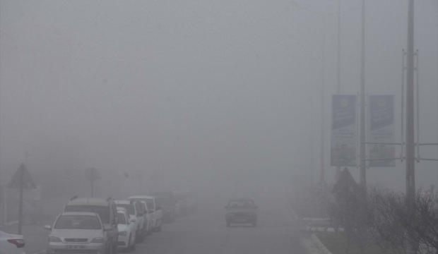 Muğla'da yoğun sis
