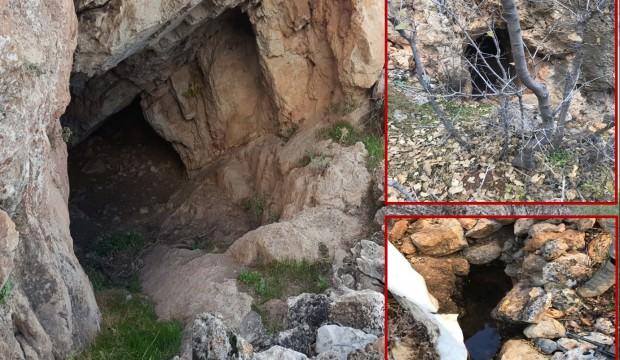 Hainlerin inlerinden bakın neler çıktı!