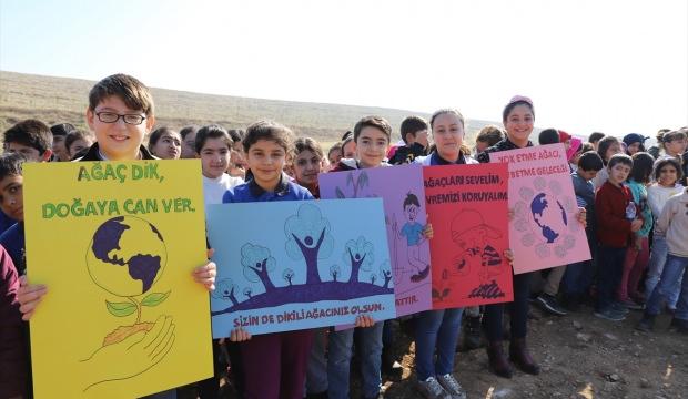 Mardin'de öğrenciler 2 bin fidan dikti