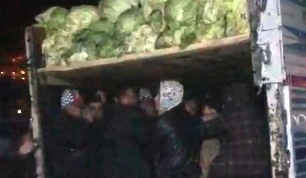 Lahana yüklü kamyonette 38 kaçak göçmen yakalandı