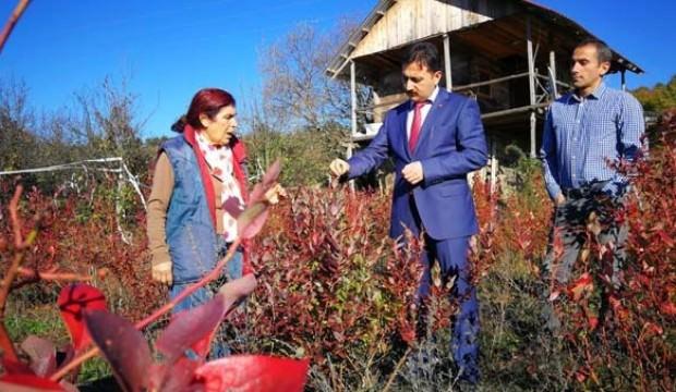 İşini bıraktı! Hayallerinin peşinden gitti...