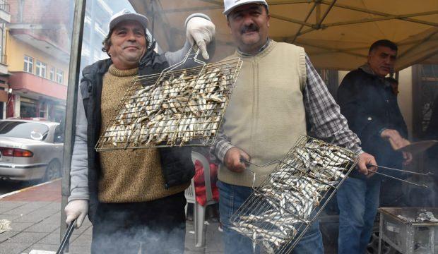 Sinop'taki festivalde 2,5 ton hamsi tüketildi