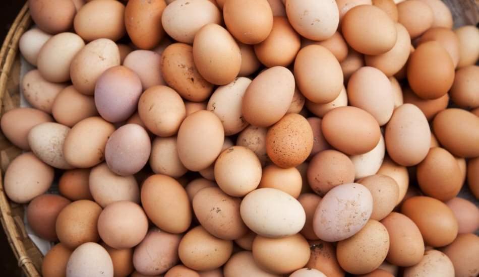 Yumurta seçerken nelere dikkat edilir?